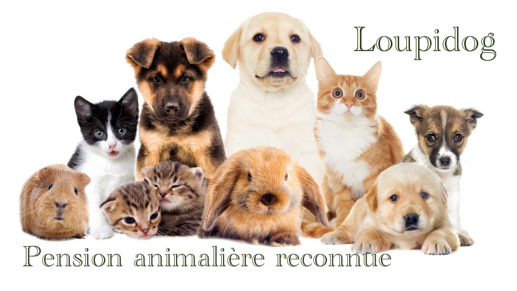 Pension animalière loupiog